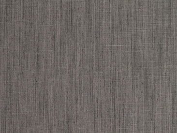 Bistre Collection - Sheer - Dark Gray